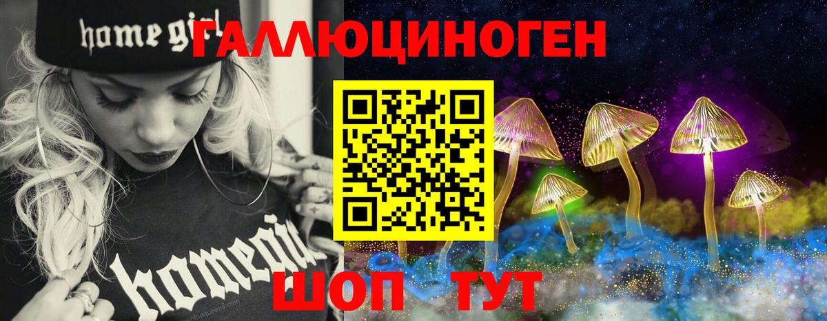 Псилоцибиновые грибы Psilocybe Мегион